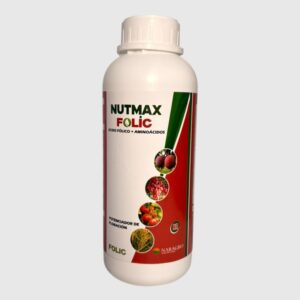 NUTMAX FOLIC